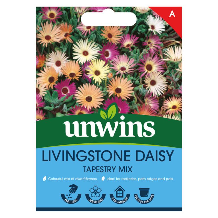 5051618011426 1 Livingstone Daisy Tapestry Mixed Seeds.jpg